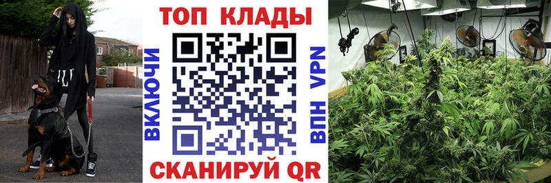 Где купить наркотики Гусиноозёрск Метамфетамин Конопля COCAIN СК