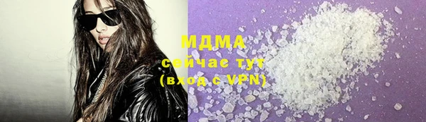 индика Михайловск