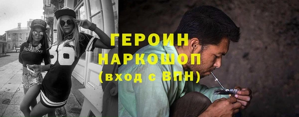 индика Михайловск