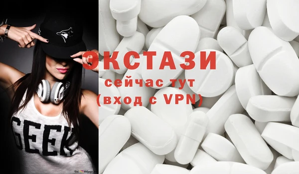 индика Михайловск