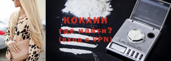 индика Михайловск