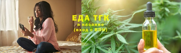 индика Михайловск