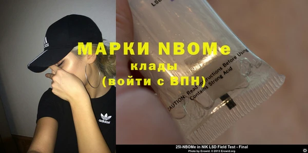 индика Михайловск
