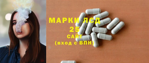 индика Михайловск