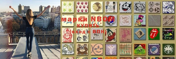 индика Михайловск