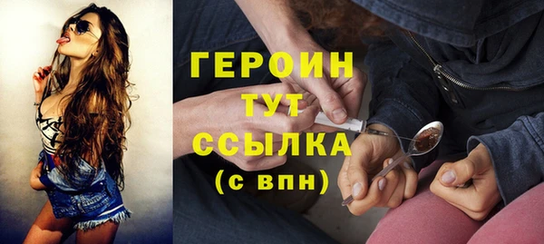 индика Михайловск