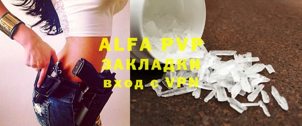 индика Михайловск