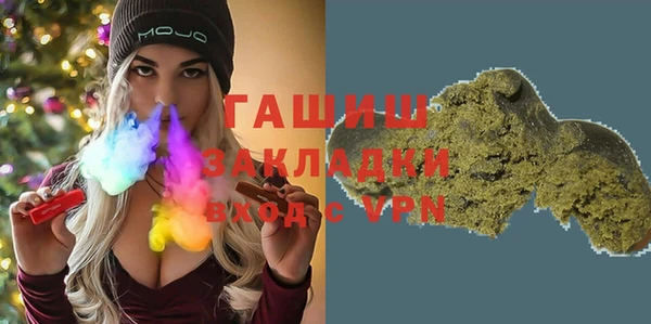 индика Михайловск