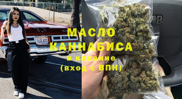 индика Михайловск