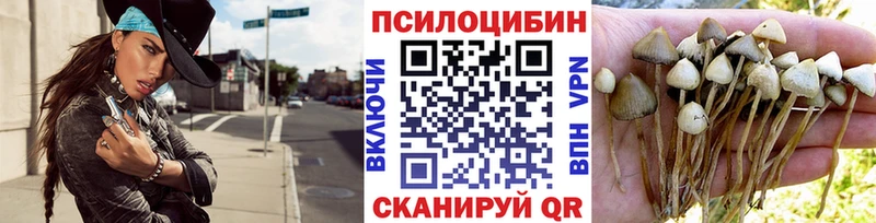 Псилоцибиновые грибы прущие грибы  Гусиноозёрск 